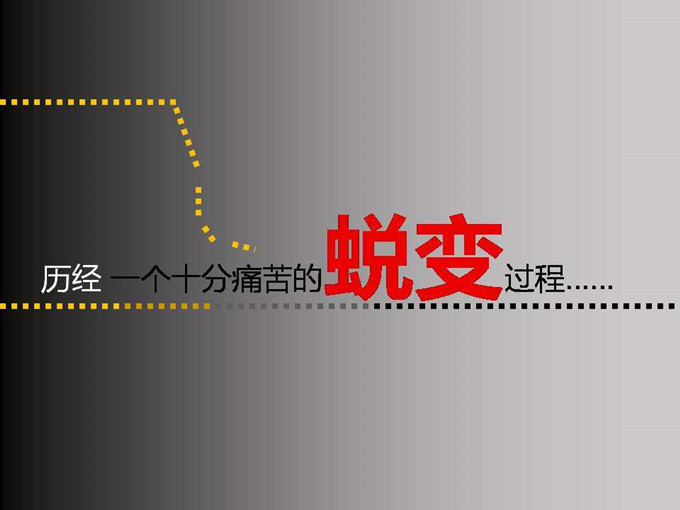 香港正版六台盒宝典资料大全