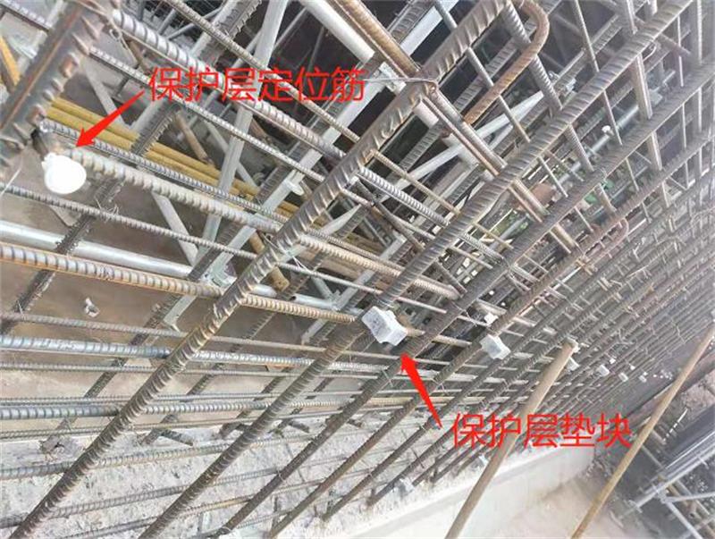 香港正版六台盒宝典资料大全