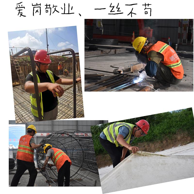 香港正版六台盒宝典资料大全