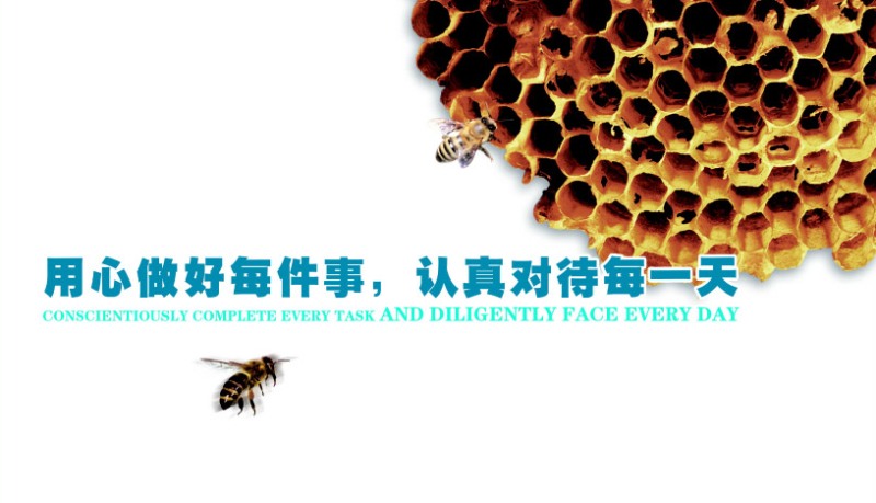 香港正版六台盒宝典资料大全