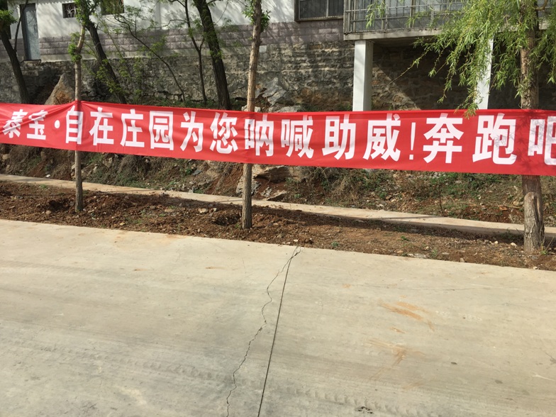 香港正版六台盒宝典资料大全