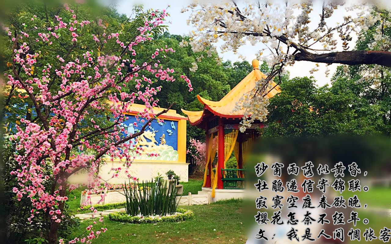 香港正版六台盒宝典资料大全
