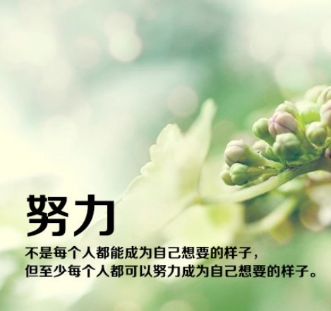 香港正版六台盒宝典资料大全