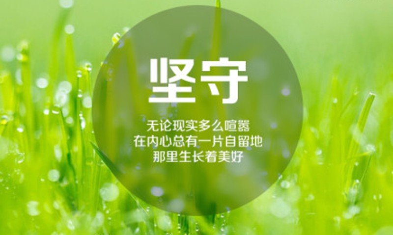 香港正版六台盒宝典资料大全