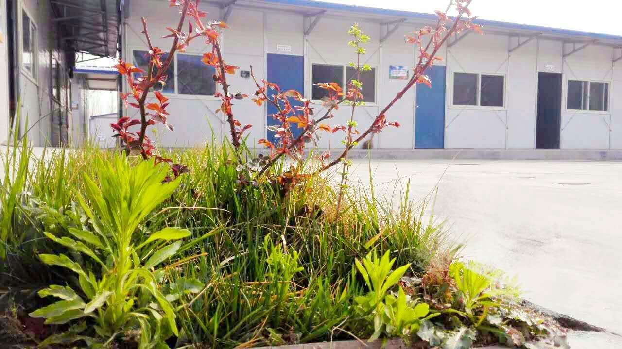 香港正版六台盒宝典资料大全