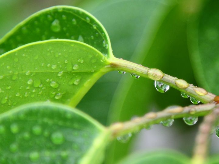 香港正版六台盒宝典资料大全