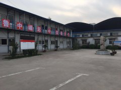 香港正版六台盒宝典资料大全的存在感