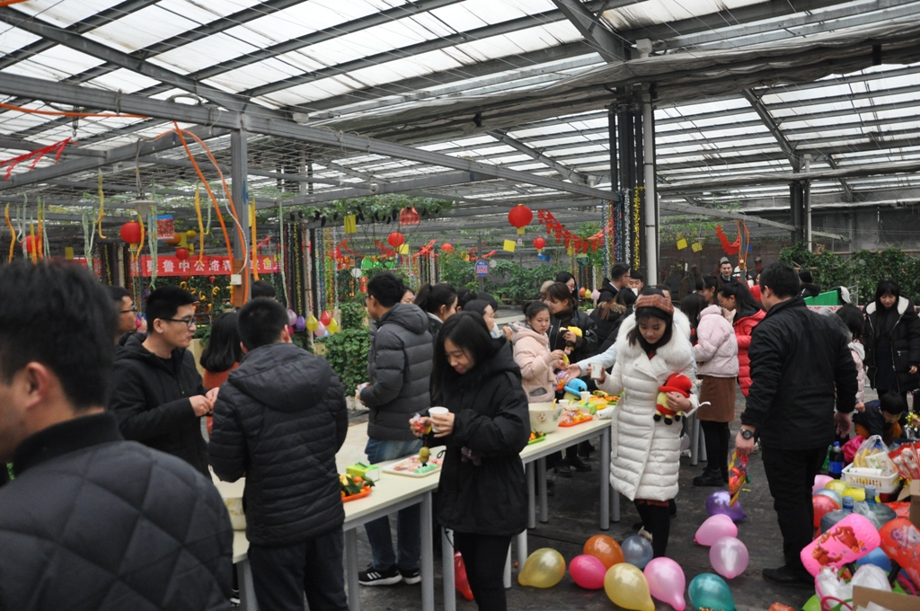 香港正版六台盒宝典资料大全