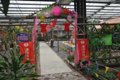 “2018缘聚香港正版六台盒宝典资料大全”青年联谊会精彩掠影