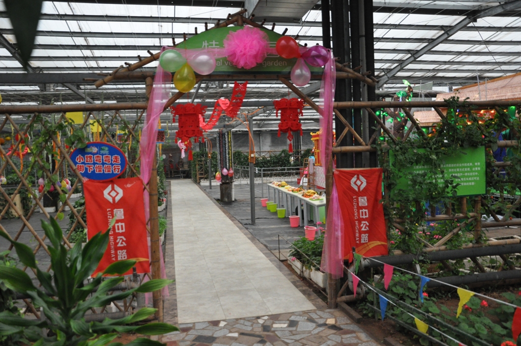 香港正版六台盒宝典资料大全
