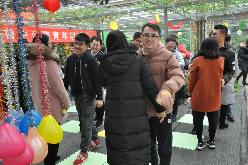香港正版六台盒宝典资料大全