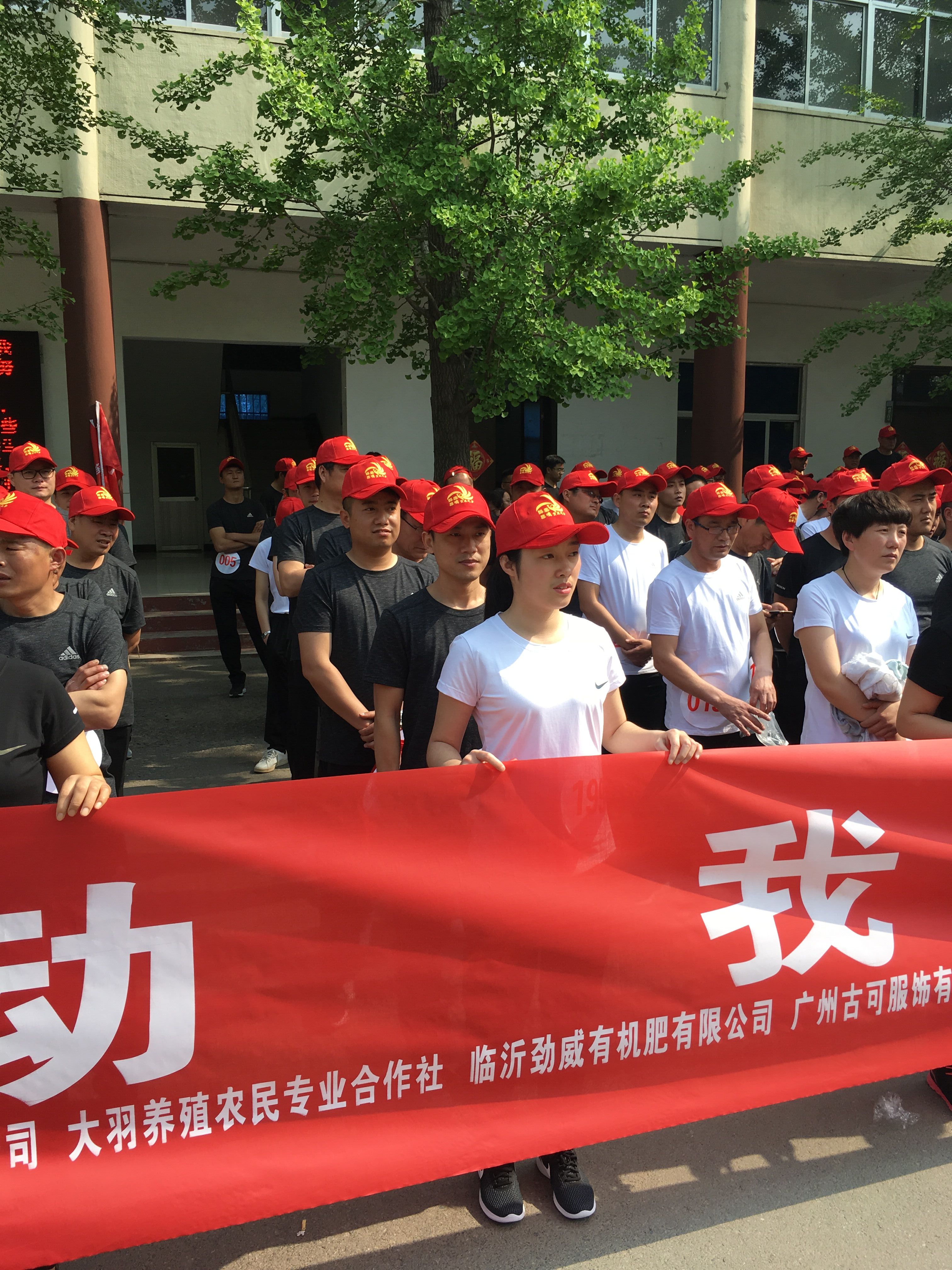 香港正版六台盒宝典资料大全