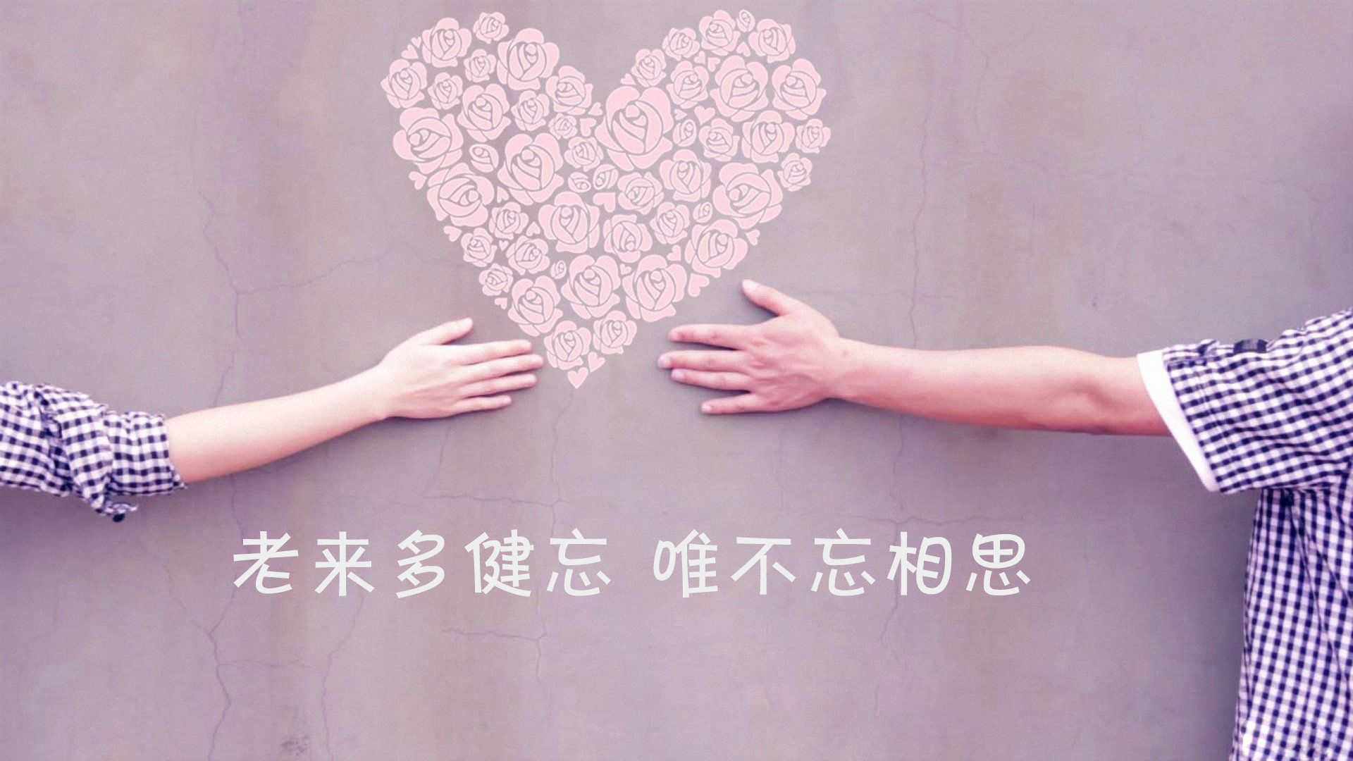 香港正版六台盒宝典资料大全