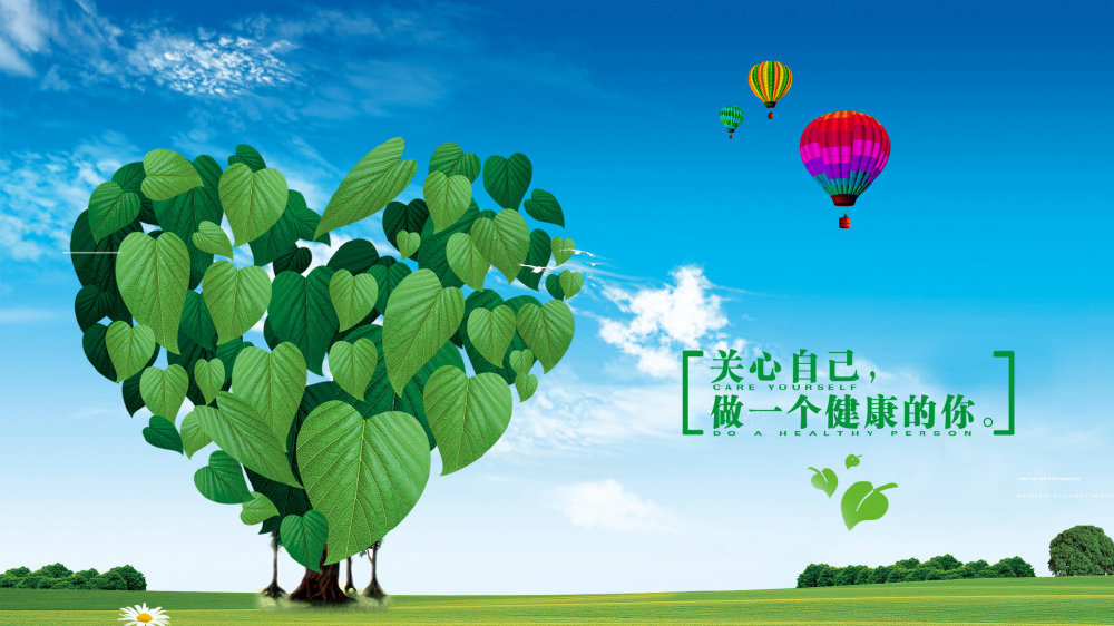 香港正版六台盒宝典资料大全