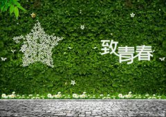 做好青春事，无悔公路情