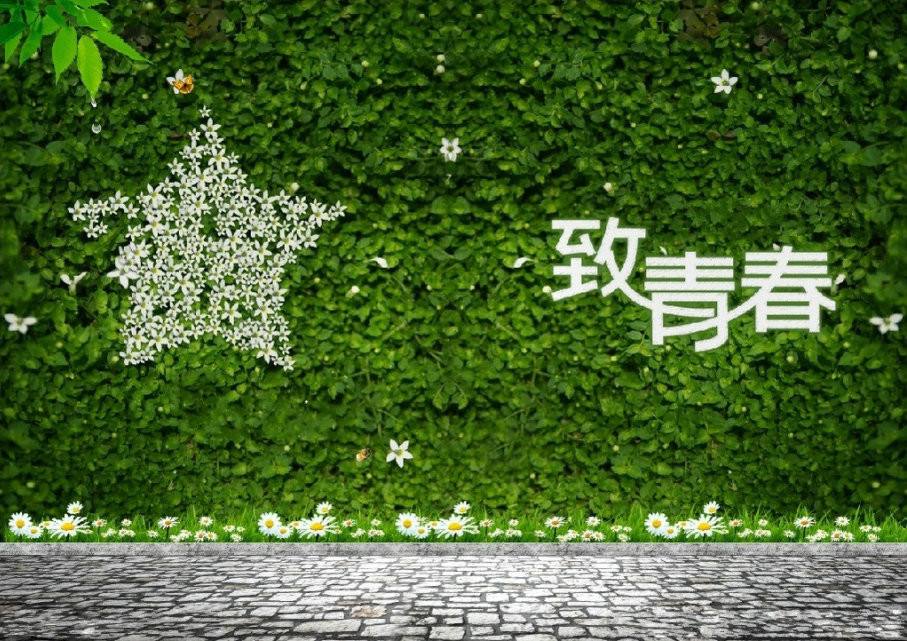 香港正版六台盒宝典资料大全