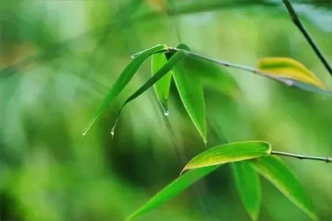 香港正版六台盒宝典资料大全