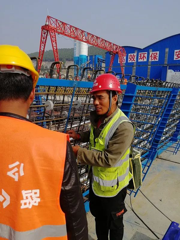 香港正版六台盒宝典资料大全