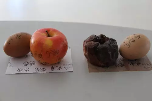 香港正版六台盒宝典资料大全