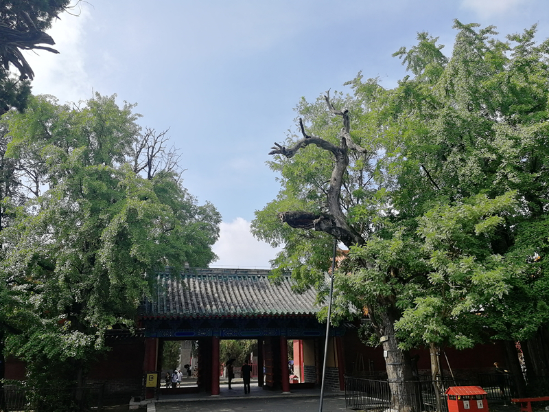 香港正版六台盒宝典资料大全