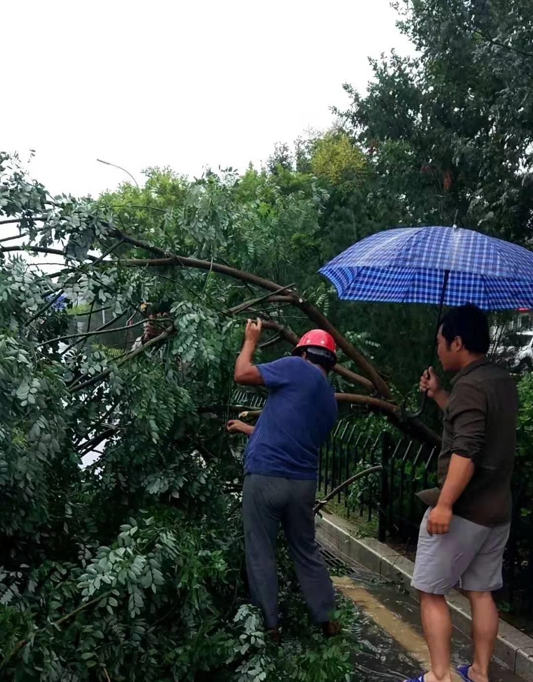 香港正版六台盒宝典资料大全