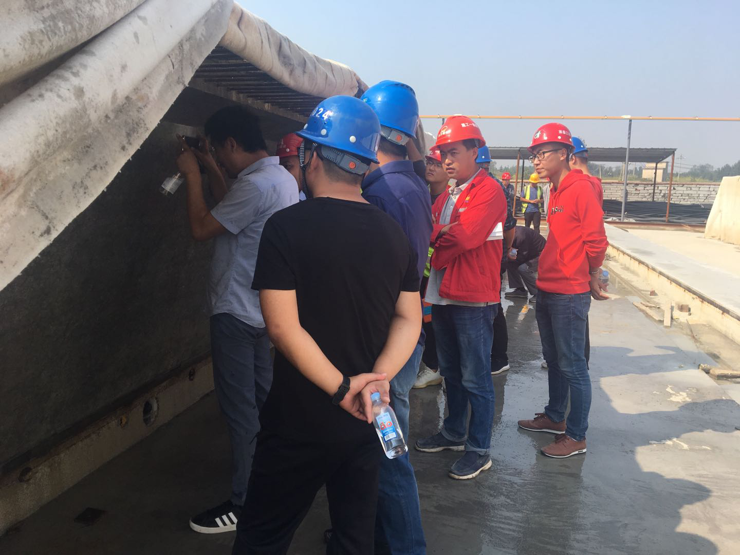 香港正版六台盒宝典资料大全