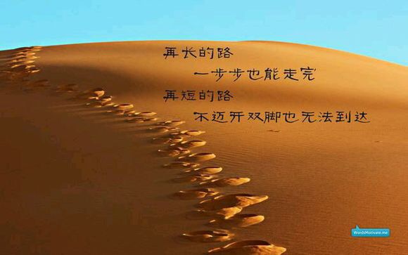 香港正版六台盒宝典资料大全