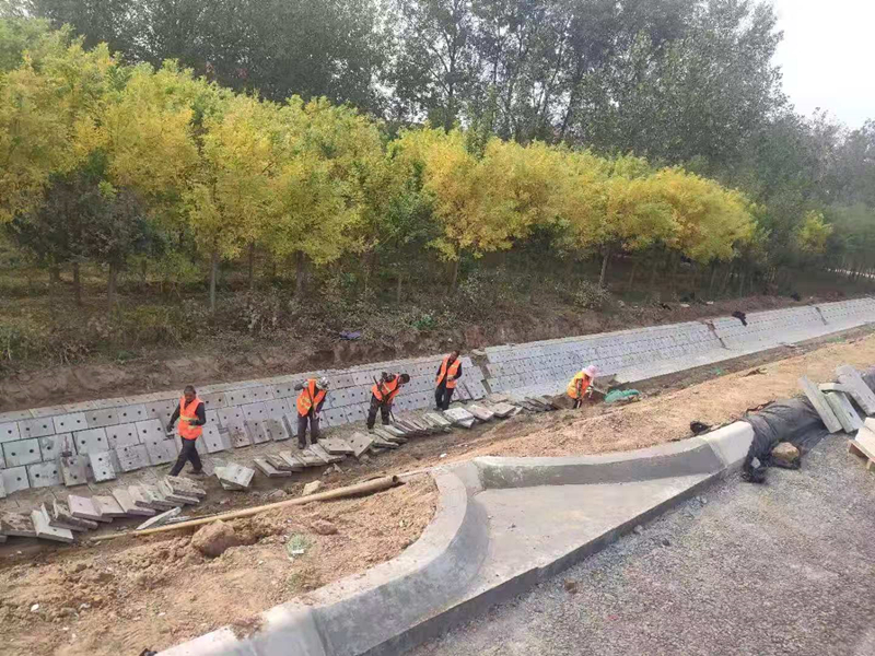 香港正版六台盒宝典资料大全
