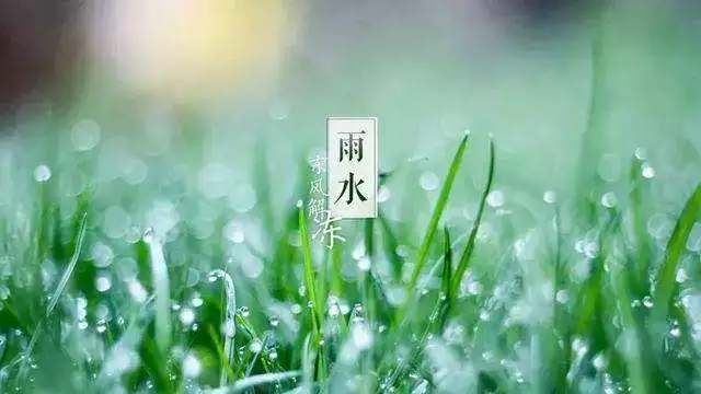 香港正版六台盒宝典资料大全