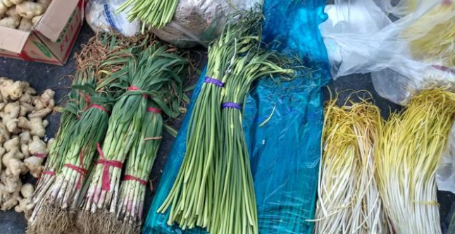 香港正版六台盒宝典资料大全