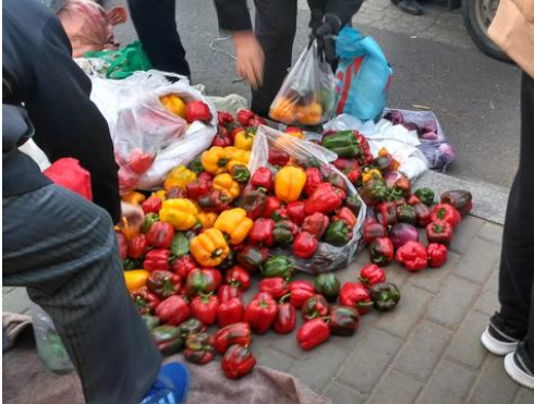 香港正版六台盒宝典资料大全