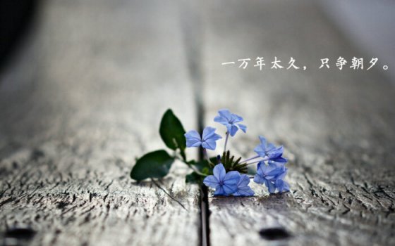 珍惜当下不负韶华