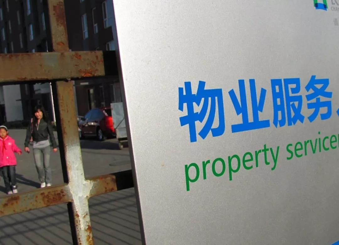 香港正版六台盒宝典资料大全
