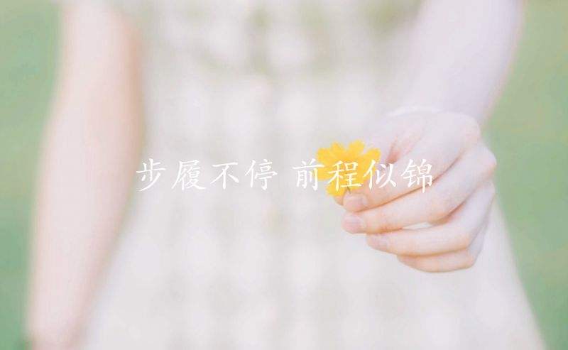 香港正版六台盒宝典资料大全
