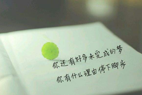 香港正版六台盒宝典资料大全