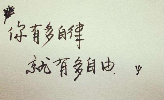 香港正版六台盒宝典资料大全