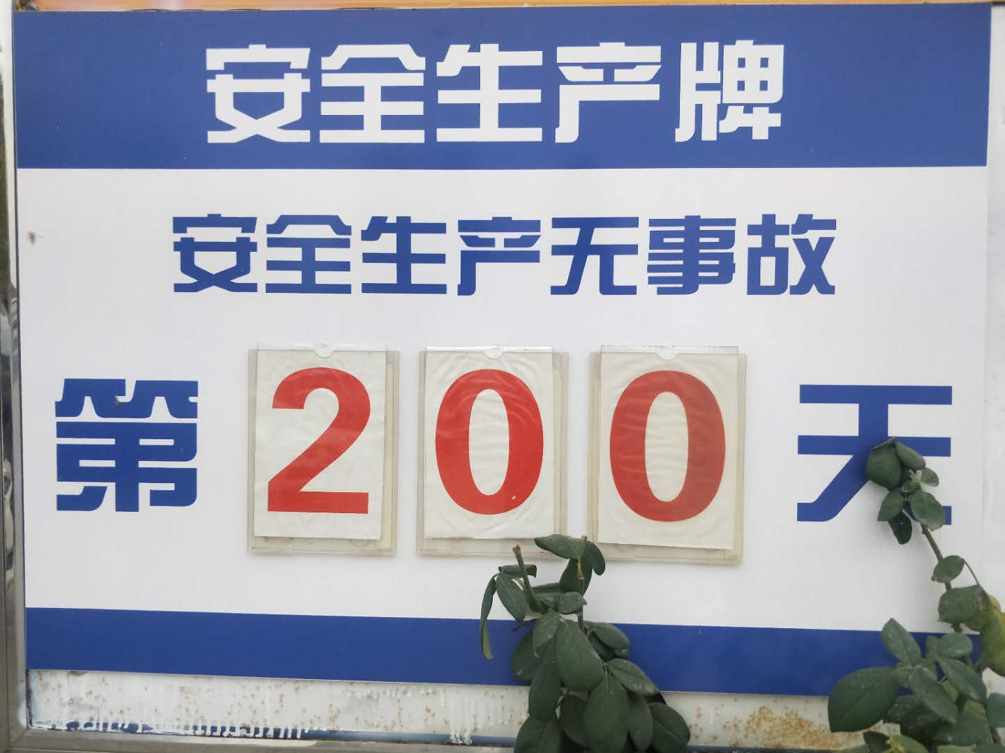 香港正版六台盒宝典资料大全