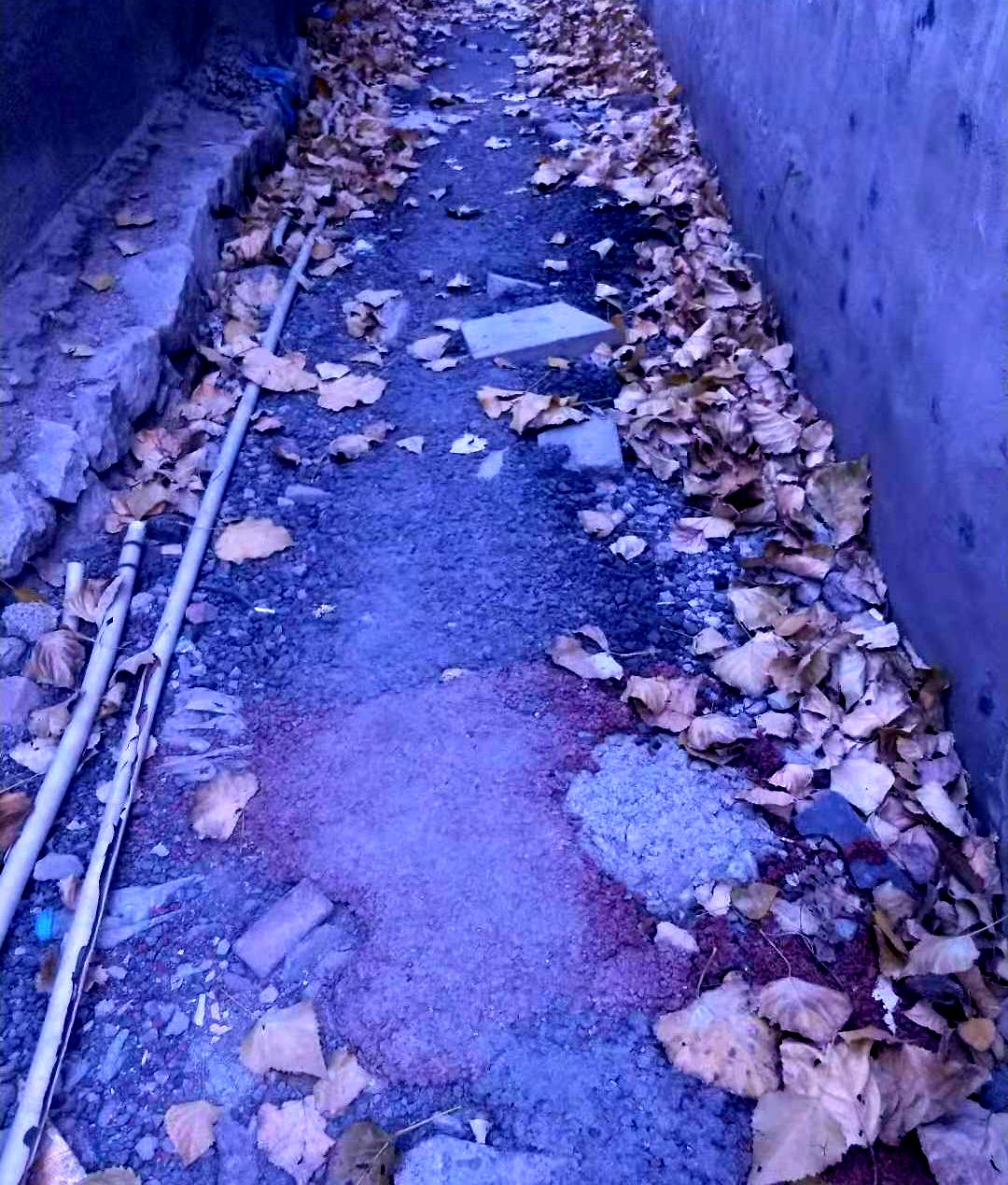 香港正版六台盒宝典资料大全