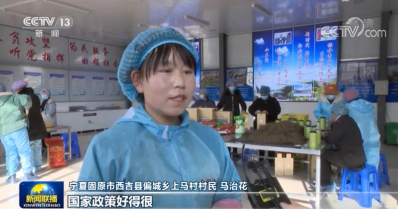 香港正版六台盒宝典资料大全