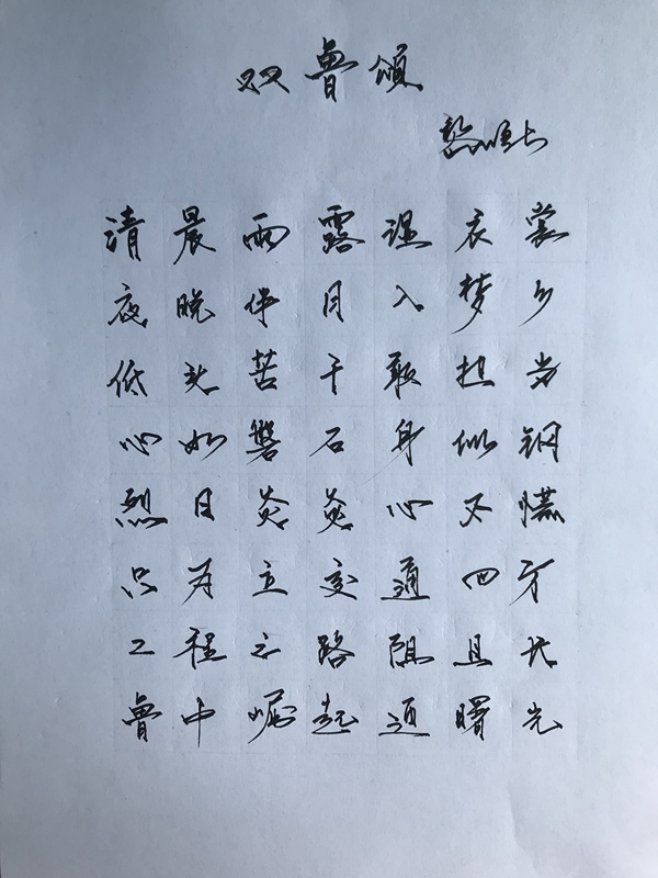 香港正版六台盒宝典资料大全