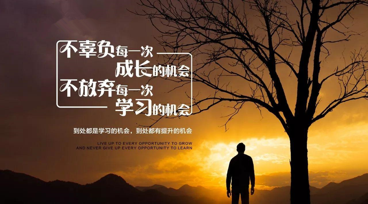 香港正版六台盒宝典资料大全