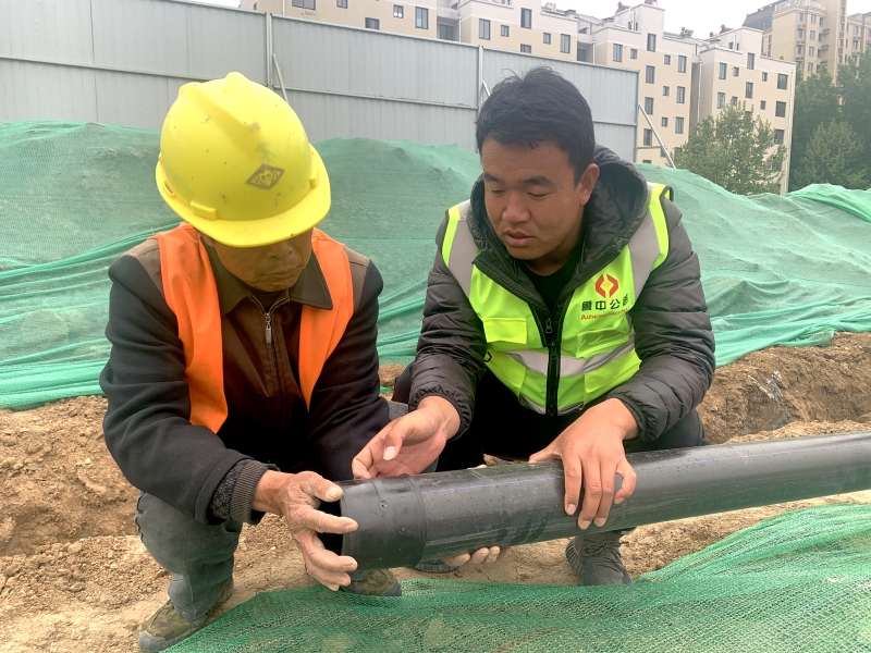 香港正版六台盒宝典资料大全