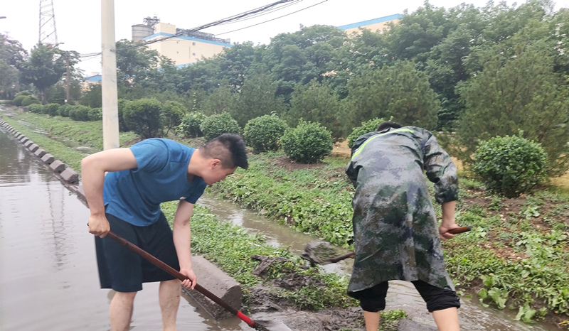 香港正版六台盒宝典资料大全