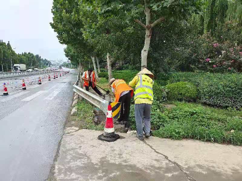 香港正版六台盒宝典资料大全