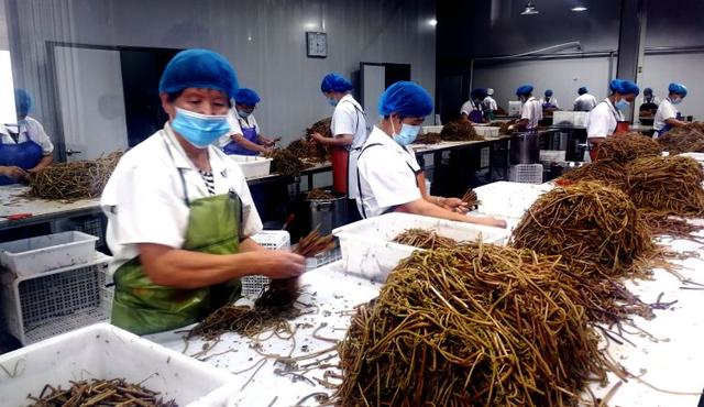 香港正版六台盒宝典资料大全