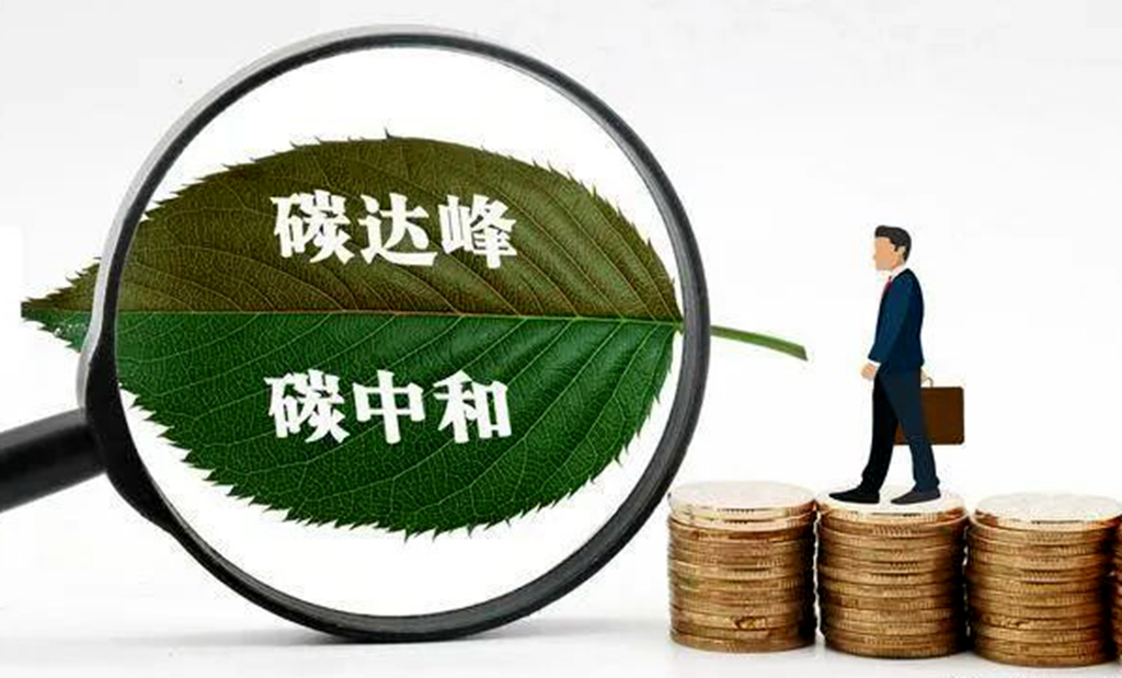 香港正版六台盒宝典资料大全