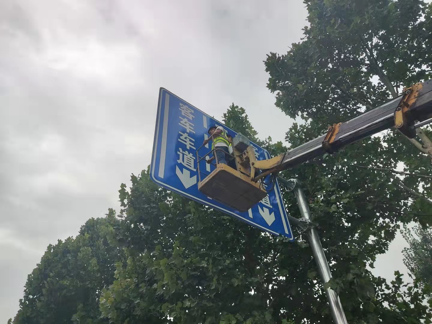 香港正版六台盒宝典资料大全