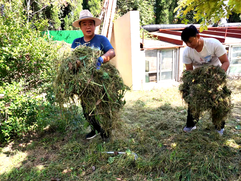 香港正版六台盒宝典资料大全
