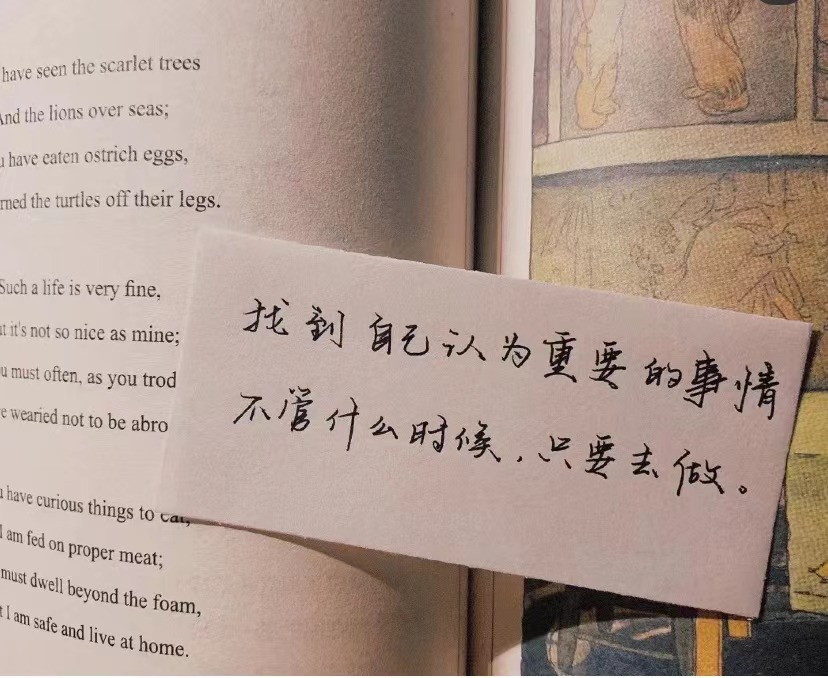 香港正版六台盒宝典资料大全