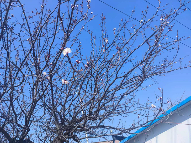 香港正版六台盒宝典资料大全